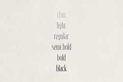 Veliora - Elegant Long Serif Product Image 5