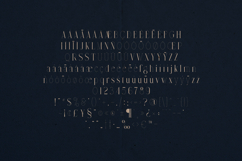 Avarice Abstract Elegant Modern Serif Font Product Image 5