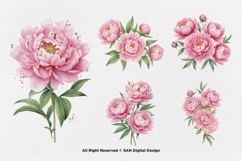 15 Bundle Watercolor Pink Peony Flower Blush Romantic Product Image 5