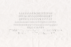 Boketto Elegant Modern Serif Display Font Product Image 5