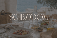 Airox Luxury Editorial Serif Font Product Image 5