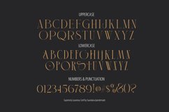 Supremely Luxurious Typeface Product Image 6