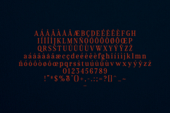 Flowrite Pitch Edition Modern Serif Font Product Image 5