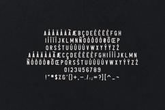 Avoqado Modern Vintage Display Font Product Image 5