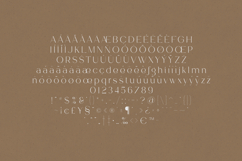 Tweedle Delicate Elegant Serif Font Product Image 5