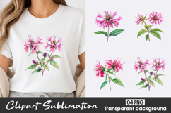 Pink Watercolor Flowers Clipart PNG Product Image 1