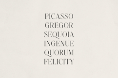 Zyntro Elegant High-Contrast Serif Product Image 5