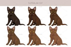 Suphalak cat clipart Product Image 4