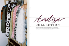 Bird life Product Image 7