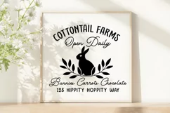 Open daily cottontail farms bunnies cauots chocolate 123 Hip Product Image 3