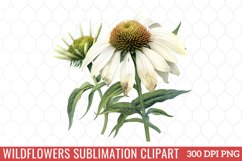 Wildflowers Sublimation Clipart Product Image 1