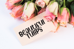 Simple Alphabet Product Image 5
