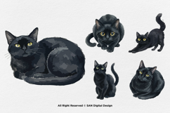 15 Bundle Watercolor Black Cats Lovers Kitten Fluffy Pet Product Image 5