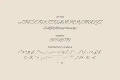 Mavra Elegant Calligraphic Script Font Product Image 5
