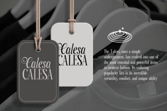 Paradise Loves - Elegant Serif Font Product Image 4