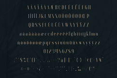 Anteric Cinematic Display Serif Typeface Product Image 5