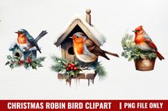 Watercolor Christmas Robin Bird Clipart Product Image 1