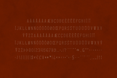 Italian Elegant Thin Slab Serif Font Product Image 5