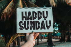 Snow House Product Image 5