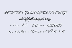 Pandaro Script Product Image 4