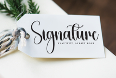 Baby Daisy Product Image 5