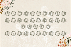 Vine Velvet Monogram - Elegant Serif Monogram Font Product Image 4