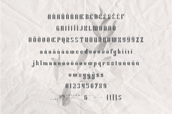 FIKA LINES Display Font Product Image 5