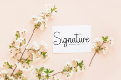 Halloween Product Image 5