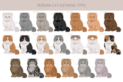 Persian cat. Extreme type Product Image 4