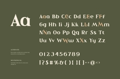 Ahiore - Retro Serif Product Image 5