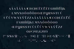 Orphic Serif Font Elegant Organic Modern Product Image 5