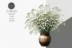 Gypsophila clipart, Flowers clipart, Flowers Product Image 1