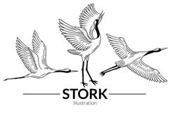 24 Set Bundle Stork Crane Swan Wild Animal Bird Hand Drawn Product Image 9