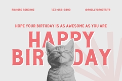 Fox Minko Product Image 5