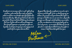 Milan Penthouse Product Image 5