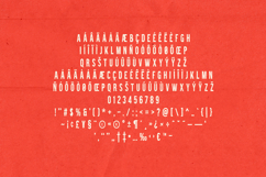 Brawn Organic Condensed Display Font Product Image 5
