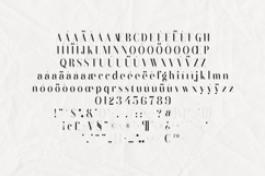 Black Goose Rounded Serif Font Product Image 5