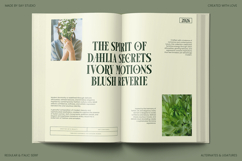 Arogel - Luxury Ligature Serif Font Product Image 5