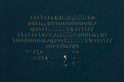 Future Flow Line Edition Elegant Inline Serif Font Product Image 5