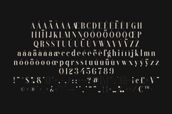 Black Goose Elegant Modern Serif Product Image 5