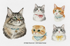 15 Bundle Watercolor Cats Face Kitten Fluffy Pet Funny Stick Product Image 5