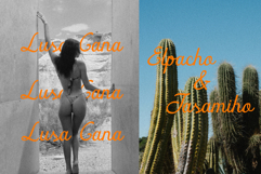 Gelapitto Script Font Product Image 5