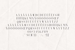 Kindel Elegant Branding Serif Font Product Image 5