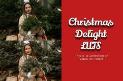 30 Christmas Delight Video LUTs Product Image 5