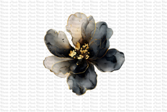 23 Dark and Gold Flowers PNG Product Image 1