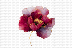 12 Burgundy Red and Gold Flowers PNG Product Image 12