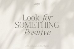 Perfect Strangers I Elegant Serif Product Image 10