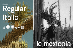 Lamrata Serif Display Font Product Image 5