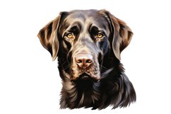 Weimaraner Dog Clipart | Watercolor Dog Clipart PNG Product Image 1