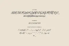 Ardor Elegant Calligraphy Script Font Product Image 5